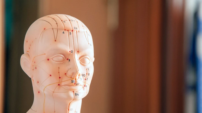 Liệt dây thần kinh số 7: Hiểu đúng để chữa trị kịp thời 5
