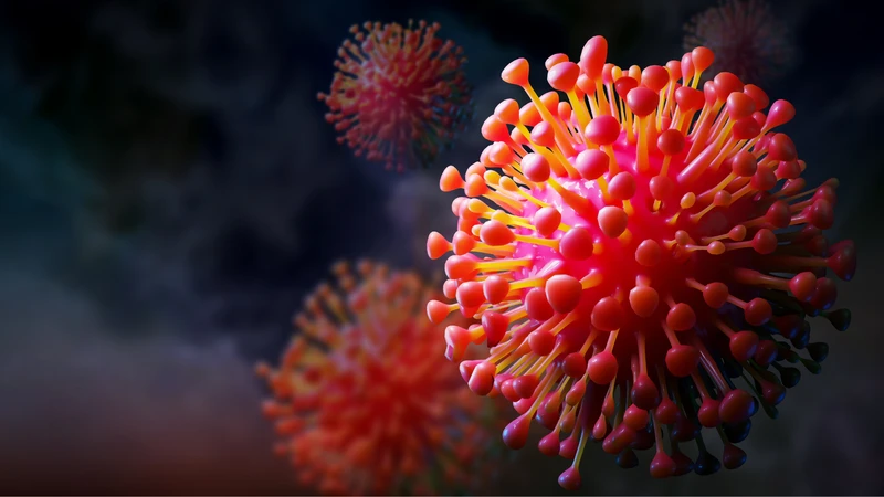 Nhiều nghiên cứu cho thấy HPV tự đào thải sau 2 năm, nhưng không phải tất cả trường hợp đều như vậy