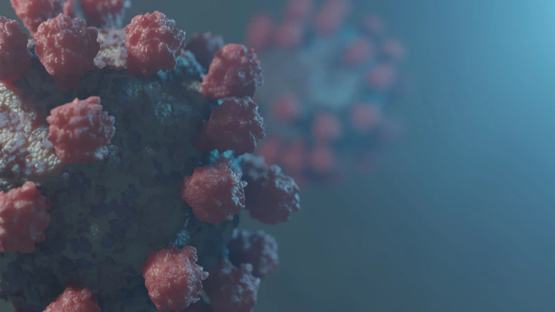 lieu-rang-virus-hpv-song-ben-ngoai-bao-lau-3