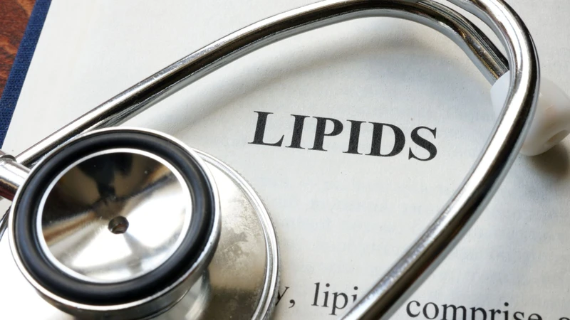 Lipid máu là gì