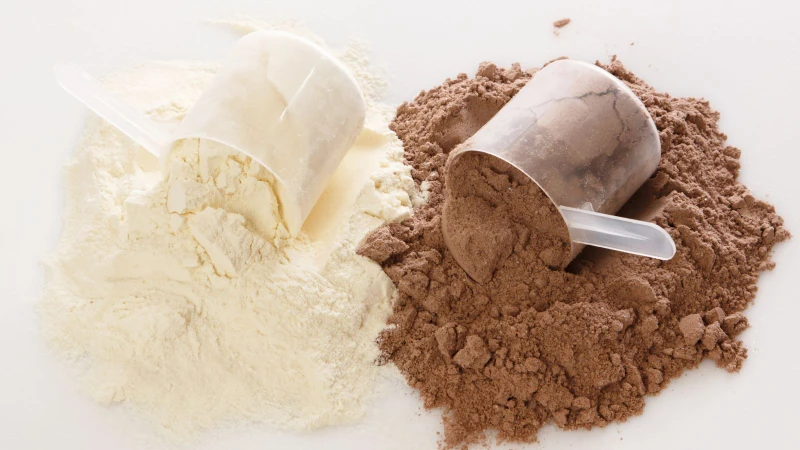 Đạm thực vật là loại protein được chiết xuất từ các nguồn thực vật