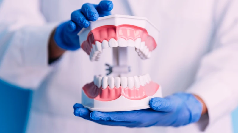 Nhiều yếu tố có thể cùng tham gia vào quá trình hình thành lồi xương chân răng