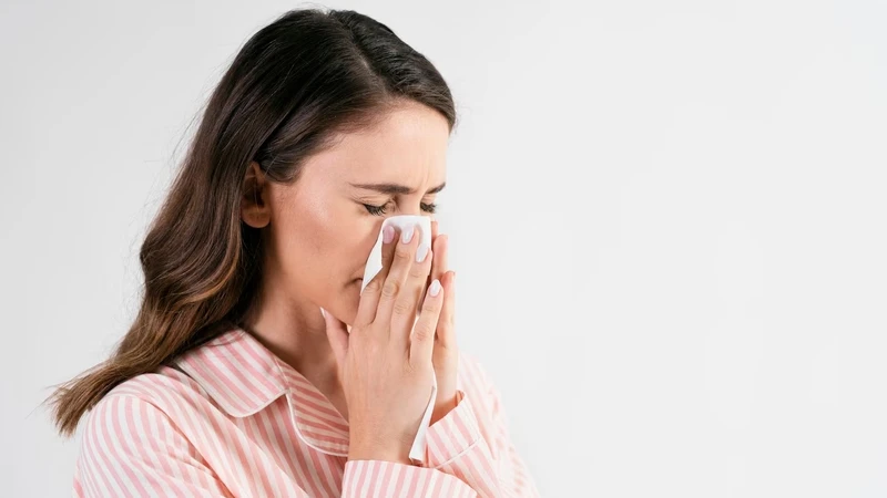 Lông chó có thể gây kích ứng đường hô hấp