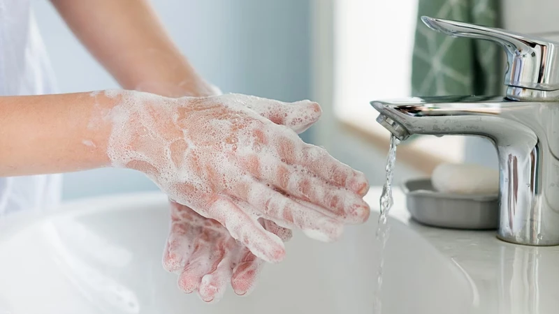 Rửa tay sau khi tiếp xúc với chó