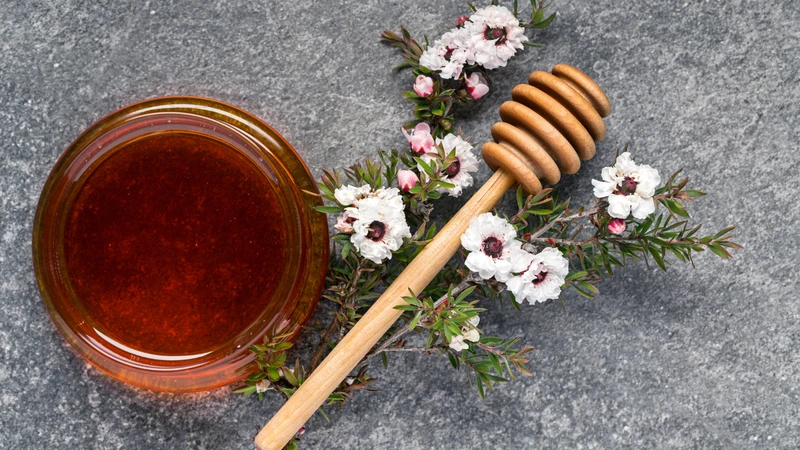 Lựa chọn mật ong Manuka chính hãng để đảm bảo hàm lượng hoạt chất MGO cao nhất