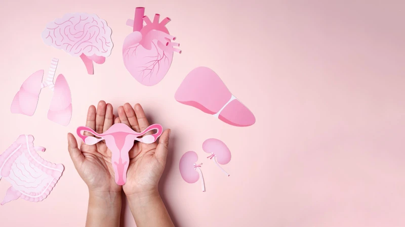 Lượng máu kinh có thể thay đổi do tuổi tác, nội tiết tố và biện pháp tránh thai