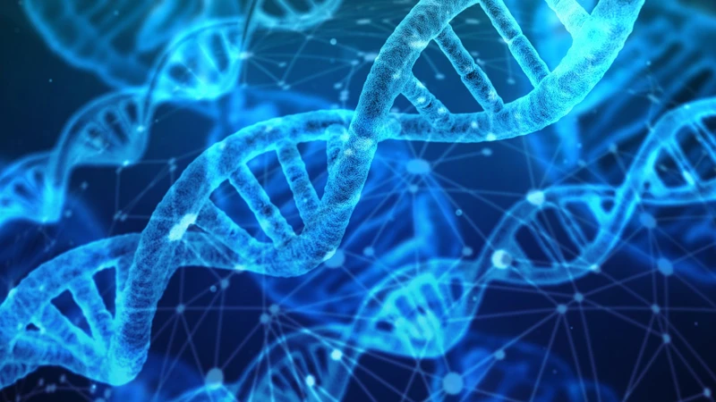 PCR giúp phân tích gen và nhận diện chính xác tác nhân gây bệnh