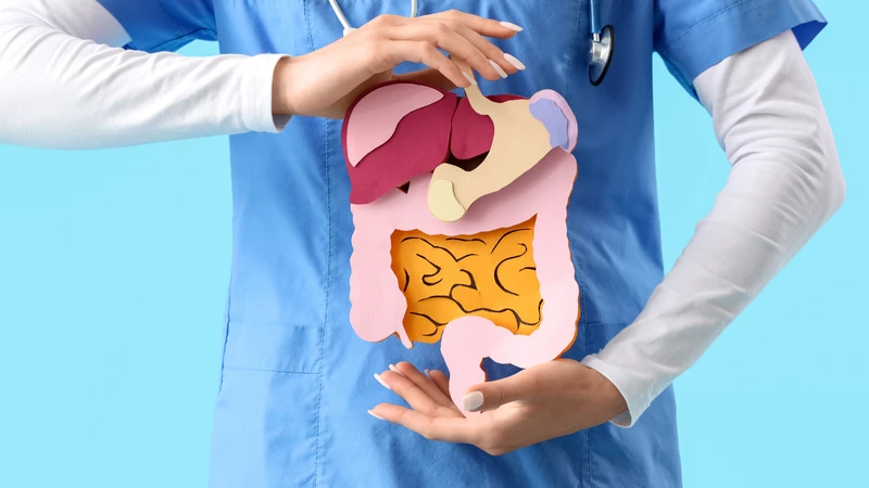 Mỗi bộ phận trong hệ tiêu hóa đóng một vai trò khác nhau trong quá trình tiêu hóa thức ăn