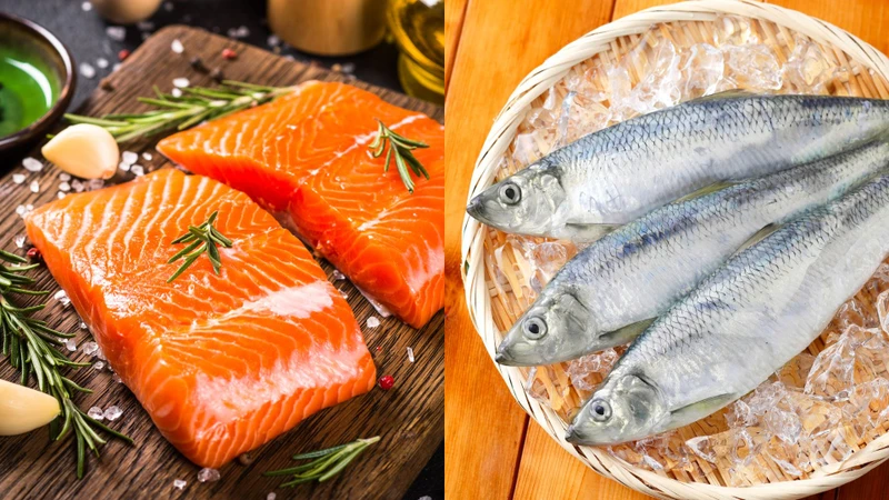 Mẹ bầu cao huyết áp nên tăng cường bổ sung các loại cá béo như cá hồi và cá thu