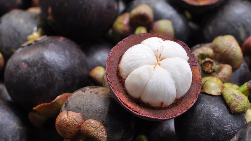 Mẹ bầu ăn măng cụt được không? Những thông tin cần biết 2