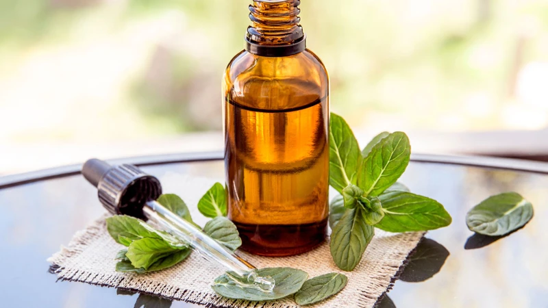 Dầu chứa nhiều tinh dầu như bạc hà, menthol, long não, khuynh diệp và đinh hương