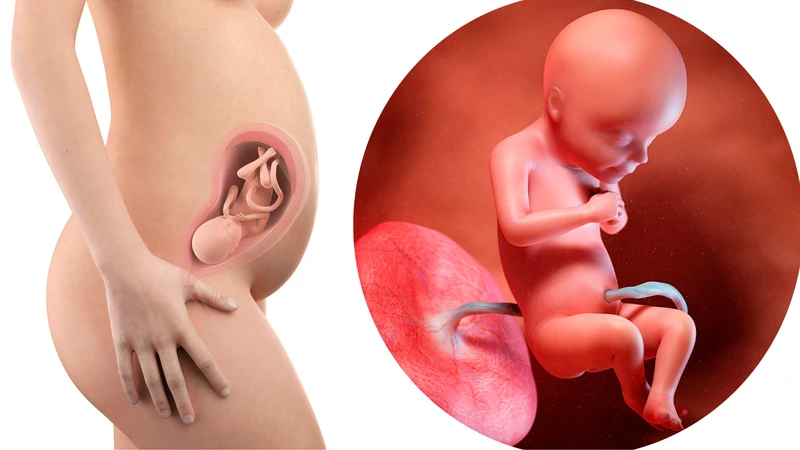 Mẹ bầu mất ngủ 3 tháng giữa ảnh hưởng đến sự phát triển thai nhi