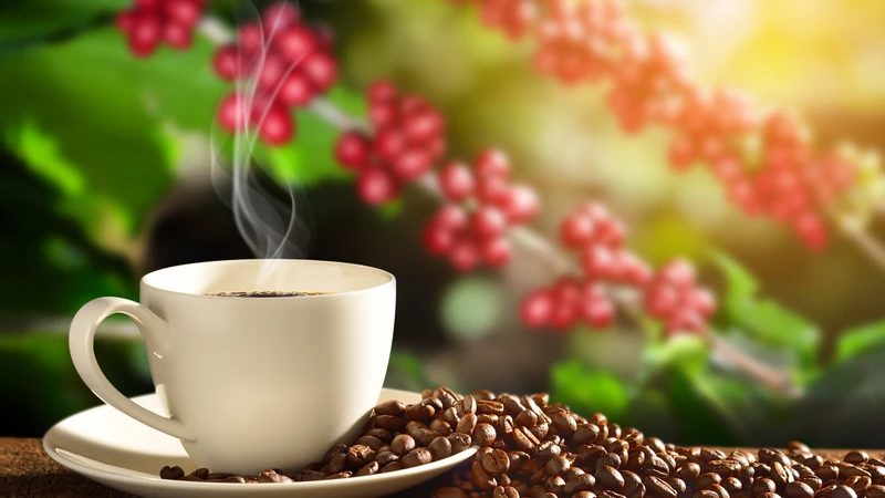 Mẹ bầu uống cà phê được không​? Có ảnh hưởng đến em bé không? 2