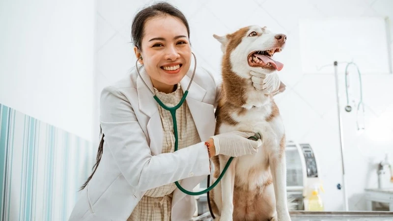 Mẹ bị sán chó có cho con bú được không? Phòng bệnh ra sao? 2