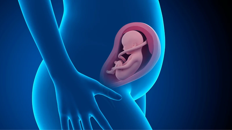 Mẹ bị viêm gan B có nên cho con bú? 2