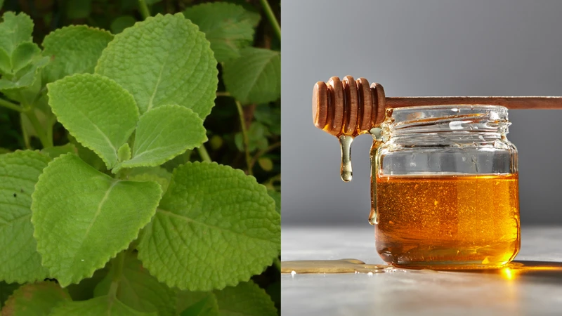 Mẹo dân gian chữa khò khè cho trẻ sơ sinh mẹ có thể tham khảo 4