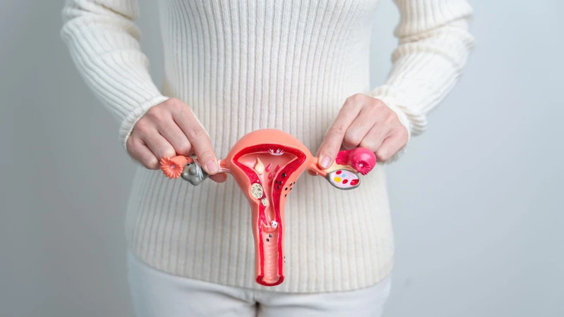 Mổ u xơ tử cung kiêng quan hệ bao lâu? Hướng dẫn quan hệ tình dục an toàn 2