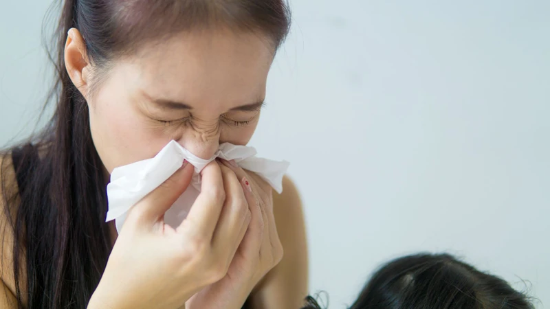 Một số bằng chứng ban đầu cho thấy MSM có thể giúp làm giảm các triệu chứng của bệnh viêm mũi dị ứng theo mùa