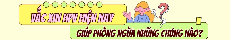 Mức độ nguy hiểm của từng loại HPV: 12 type nguy cơ cao cần lưu ý 7