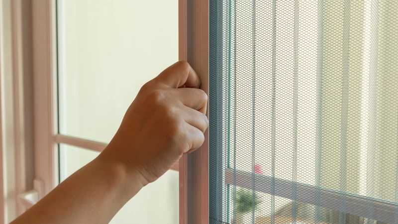 Nên lắp đặt lưới chống muỗi ở cửa sổ và cửa ra vào để ngăn muỗi bay vào nhà