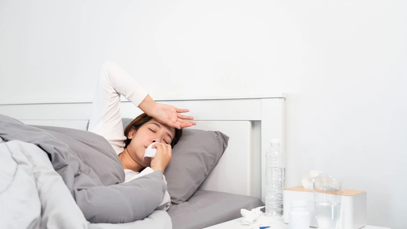 Muỗi vằn - trung gian truyền bệnh sốt xuất huyết 2