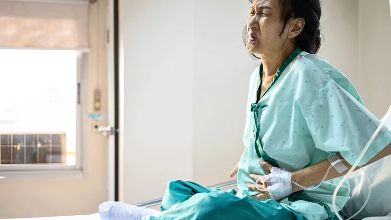 Muỗi vằn - trung gian truyền bệnh sốt xuất huyết 3