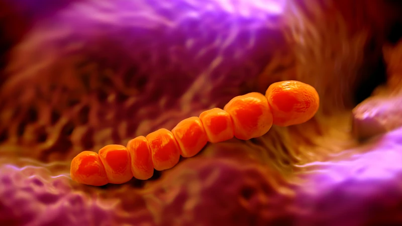 Streptococcus pneumoniae&nbsp;là tác nhân hàng đầu gây ra nhiều bệnh lý nghiêm trọng, đặc biệt ở người già và người có bệnh lý nền
