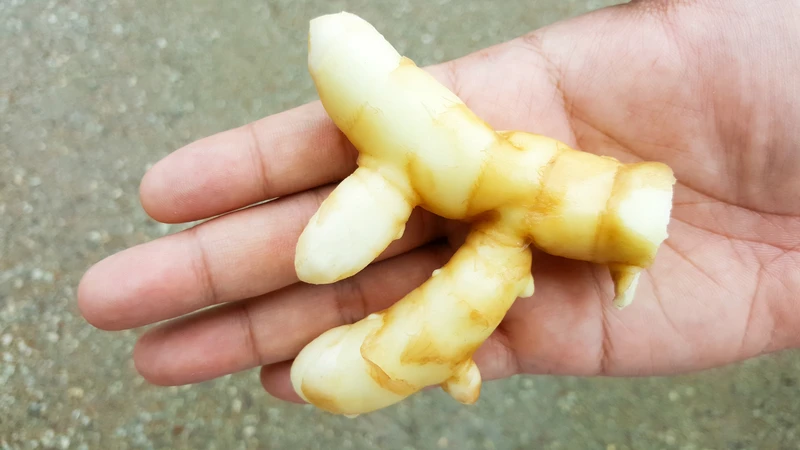 Nghệ đen có thể được sử dụng dưới nhiều hình thức khác nhau tùy vào mục đích