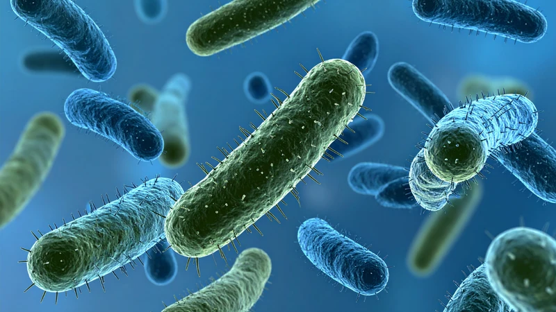 Ngộ độc hải sản bị nhiễm các tác nhân gây bệnh như vi khuẩn, virus và ký sinh trùng