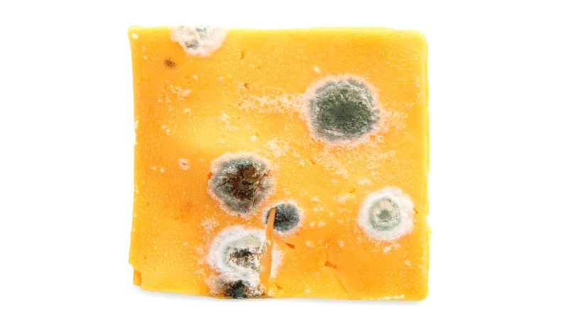 Ăn thực phẩm bị nhiễm vi khuẩn Listeria