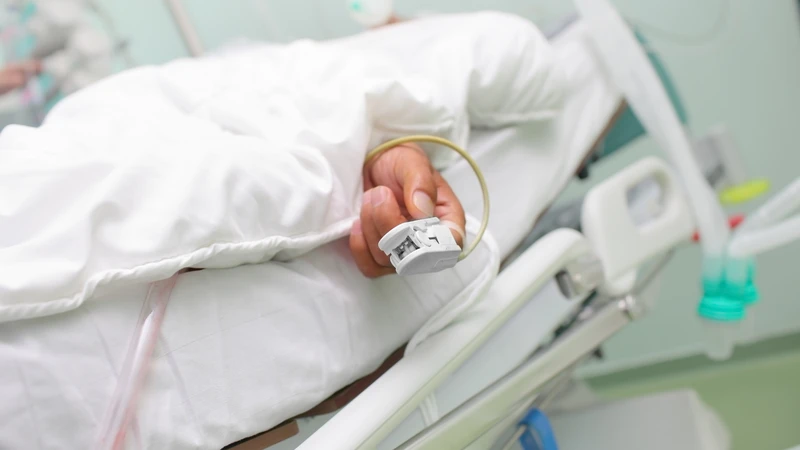 Ngộ độc mật cá trắm có thể ảnh hưởng đến gan và thận