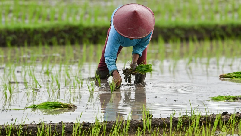 Những tình huống dễ dẫn đến ngộ độc thuốc chuột trong gia đình