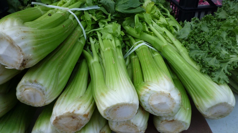 Cần tây giàu chất xơ và chất chống oxy hóa