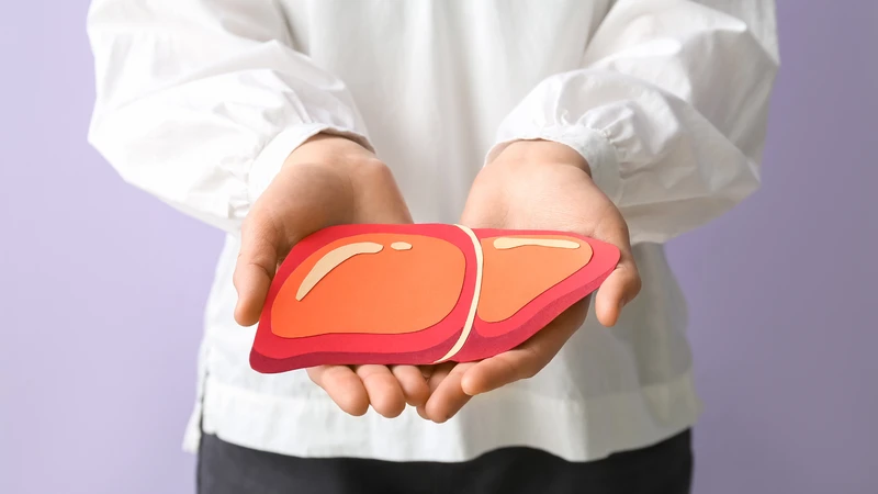 Bạn cần khám định kỳ để theo dõi sức khỏe gan