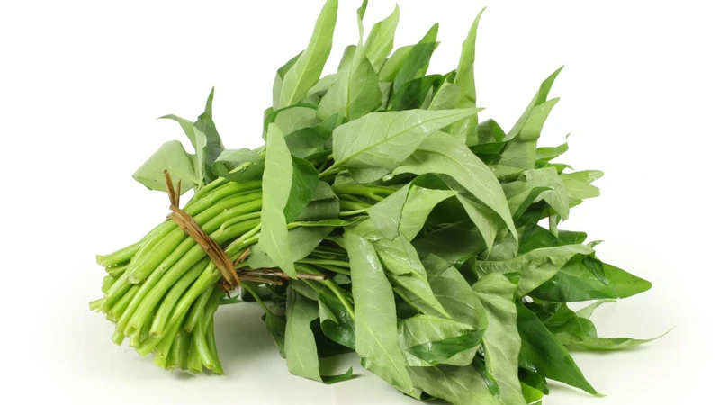 Người bị sẹo kiêng ăn gì và ăn gì để tránh sẹo lồi? 2