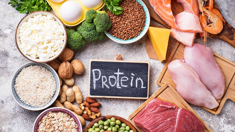 Bữa ăn cân bằng với đa dạng nguồn protein từ động vật và thực vật