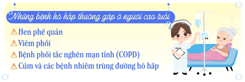 nguy-co-benh-ho-hap-tang-cao-trong-boi-canh-gia-hoa-dan-so-tai-viet-nam-10.png