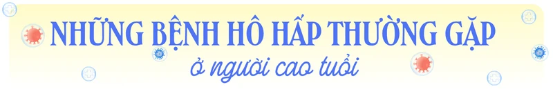 nguy-co-benh-ho-hap-tang-cao-trong-boi-canh-gia-hoa-dan-so-tai-viet-nam-5.png
