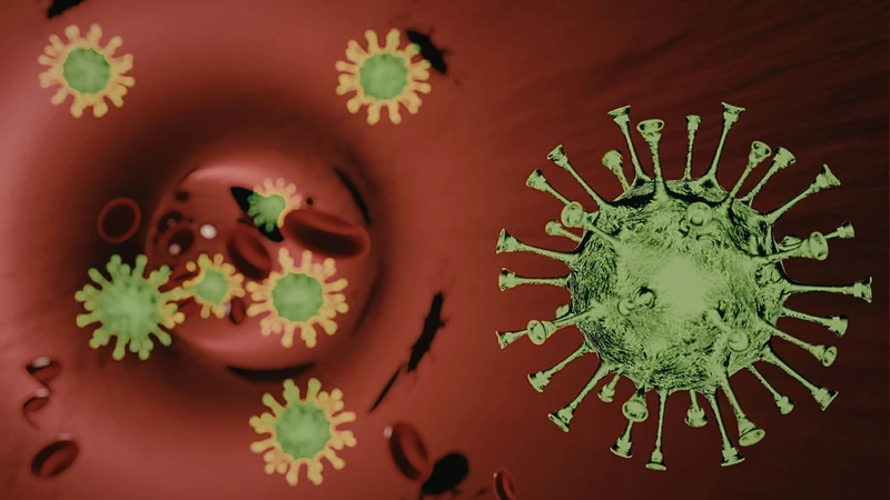 Các tác nhân vi khuẩn như Salmonella, Escherichia coli hoặc virus đường ruột có thể gây viêm niêm mạc tiêu hóa