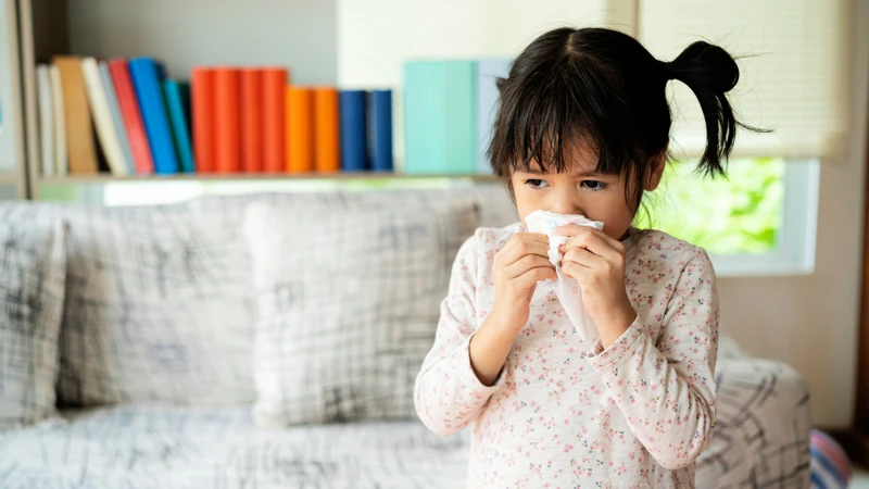 Nguyên nhân gây ho sổ mũi là gì? Cách xử trí và phòng ngừa hiệu quả 1