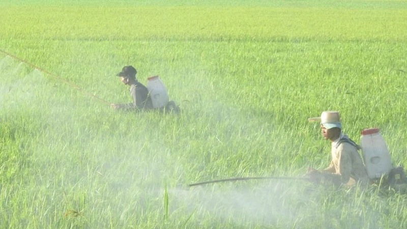 Thuốc trừ sâu, thuốc diệt cỏ cũng là nguyên nhân gây ô nhiễm