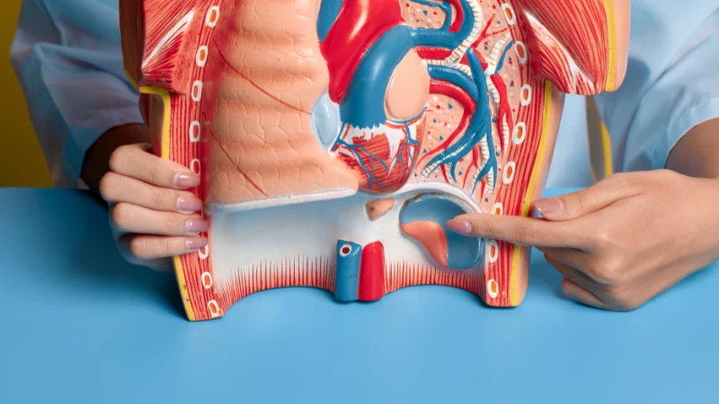 Nguyên nhân suy thận là gì? Cách điều trị và phòng ngừa 2