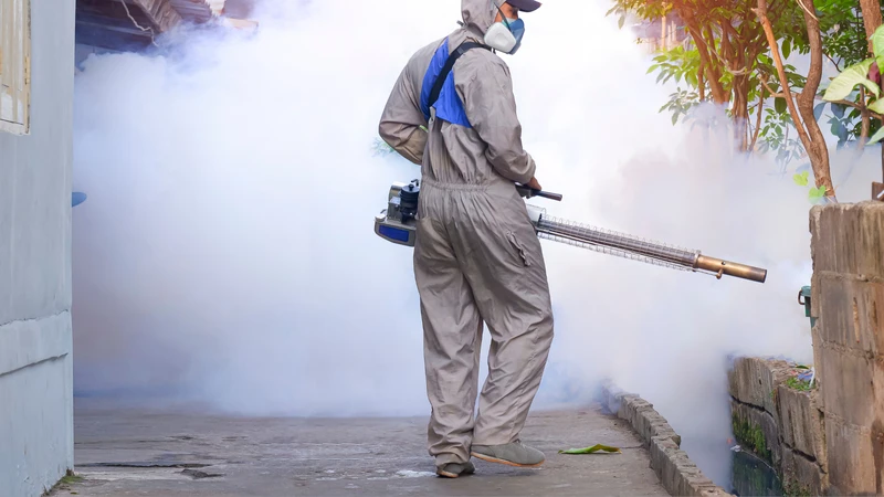 Nhận biết sớm triệu chứng sốt xuất huyết ở trẻ tránh biến chứng nguy hiểm 1