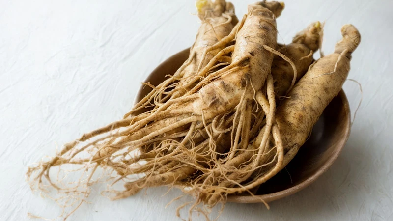 Nhân sâm là dược liệu thuộc chi Panax, trong đó phần rễ được sử dụng phổ biến