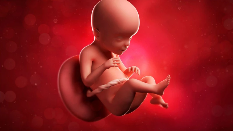 Nhau tiền đạo có nguy hiểm không