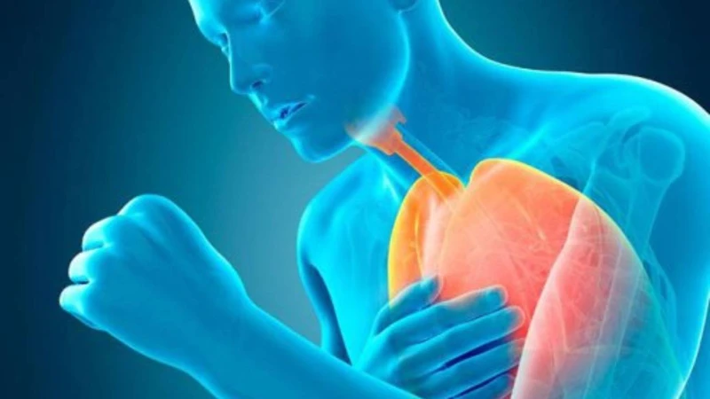Nhiễm nấm candida ở phổi là gì? Bệnh nguy hiểm như thế nào? 3.png