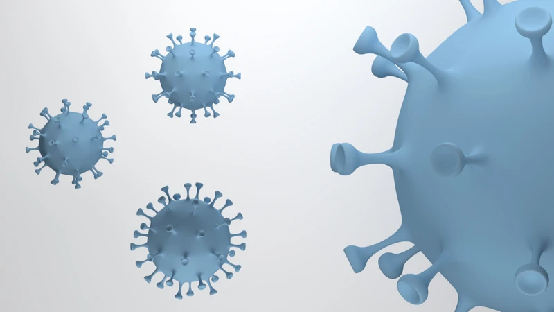 Các loại virus này lây lan rất nhanh