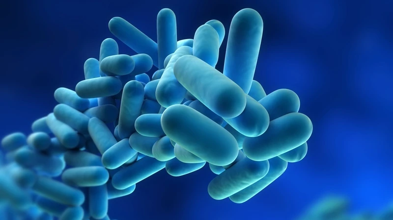 Nhiễm trùng Legionella là gì? Triệu chứng và cách phòng ngừa 5