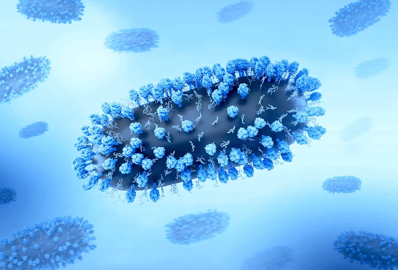 nhiem-virus-rsv-co-nguy-hiem-khong-cach-chan-doan-nhiem-virus-rsv 1.jpg