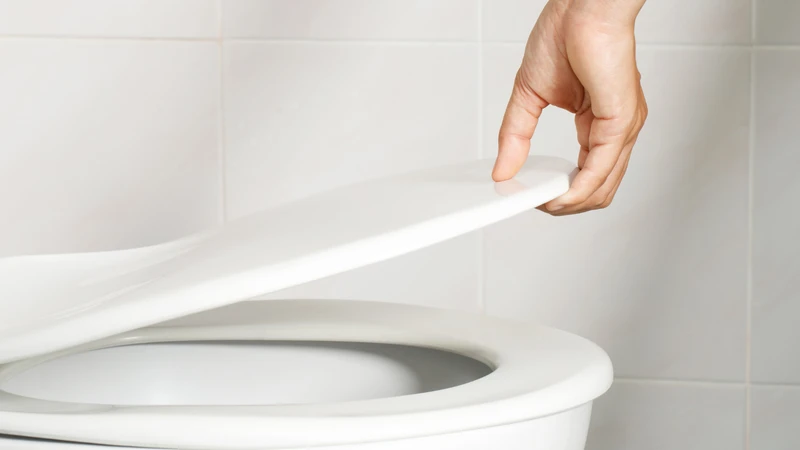 Có thể nhìn phân đoán bệnh thông qua sự khác nhau về hình dạng và thể chất phân